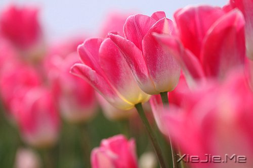 1901~2013历届诺贝尔文学奖获奖作品